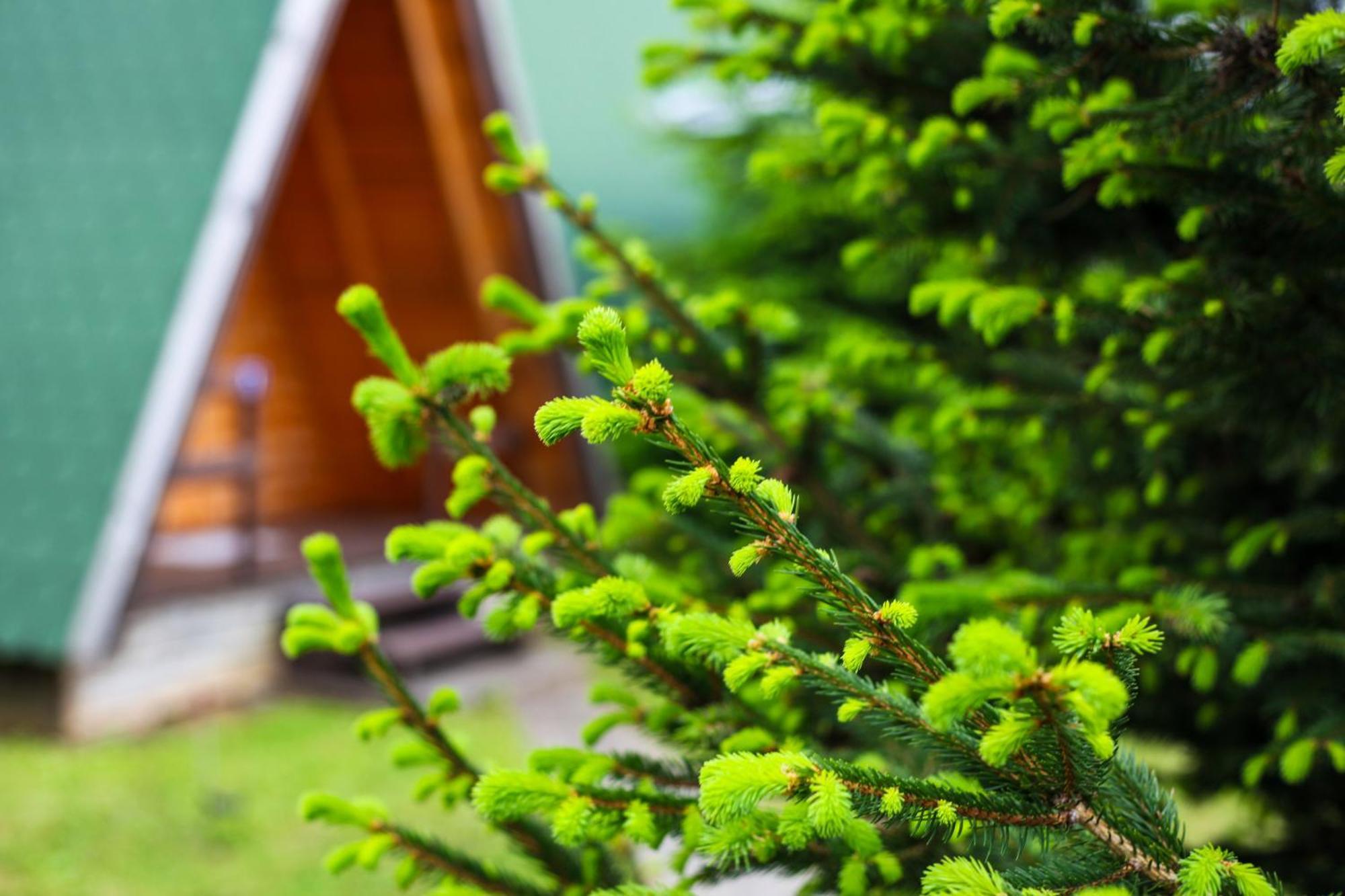 Rooms & Glamping Lana Haus Licko Petrovo Selo Luaran gambar